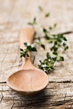 Wooden Spoon