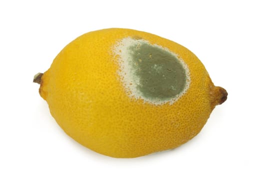 Moldy Lemon