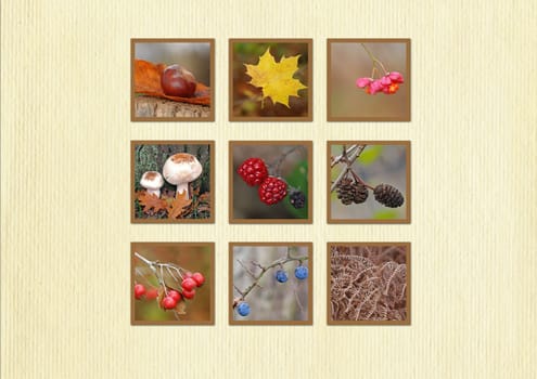 Autumn Postcard