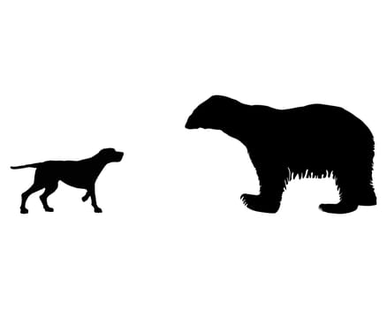 Hound meets polar bear