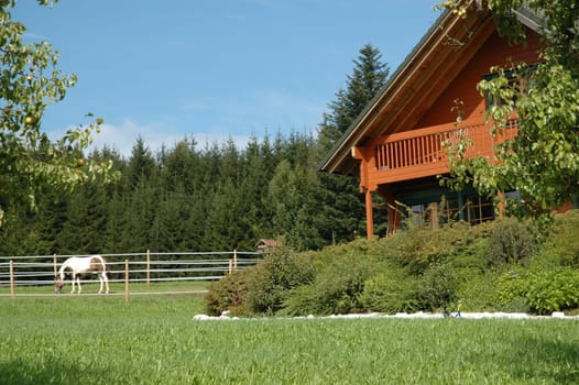 Wooden house