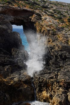 The forces of nature