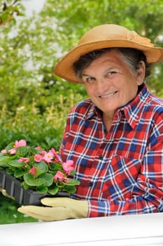 Senior woman - gardening