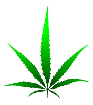 leaf of grass