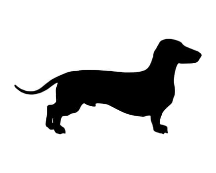 Black silhouette of a short-haired dachshund