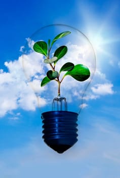 Tree in light bulb