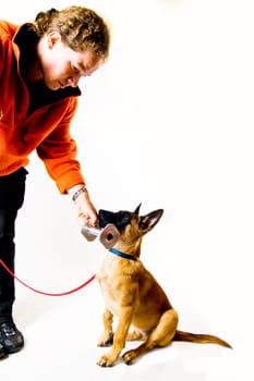 Dog Training,Retrieving