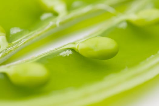 fresh peas on wooden background