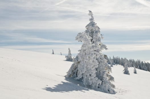 Winter200933