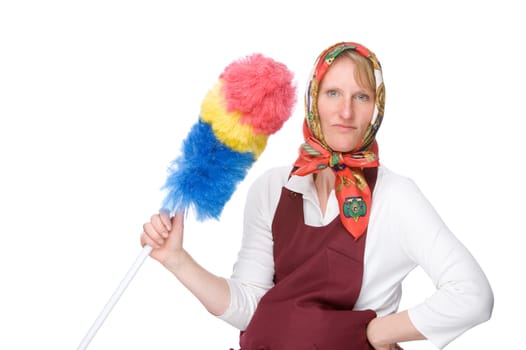Cleaner