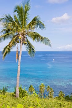 Dravuni Island