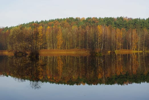 COLOR OF NATURE