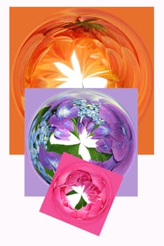 Flower Postcard