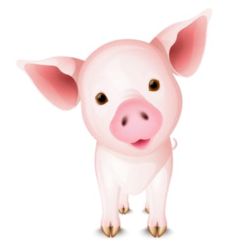 Little pig