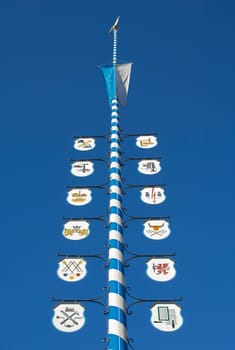 Maypole at Munich's Platzl