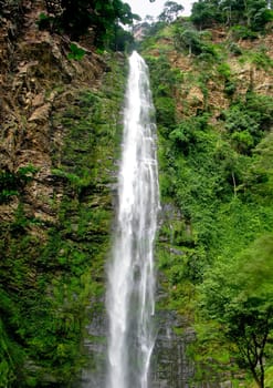 Wli Waterfall in Agumatsa Park in Ghana