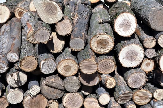 Stack of firewood