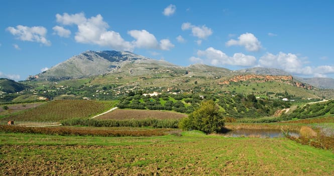 Typical Sicily