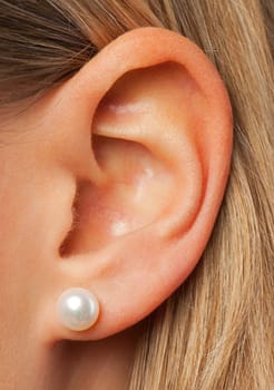 One Ear
