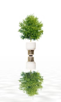 Green plant in light bulb
