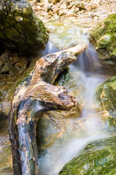 Stream