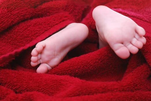 Baby feet