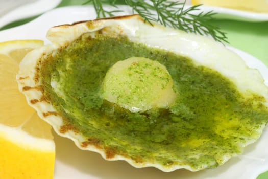 Scallops