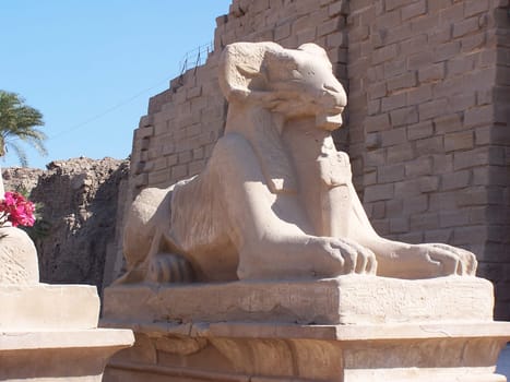 Aries in front of a temple