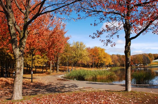 Beautiful fall park few.