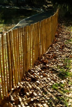 Fence made of light wood