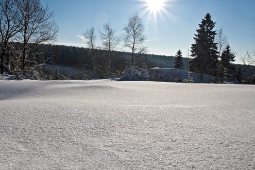 Winter