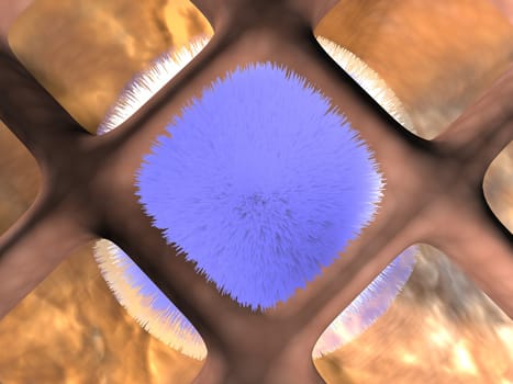 Virus Infection