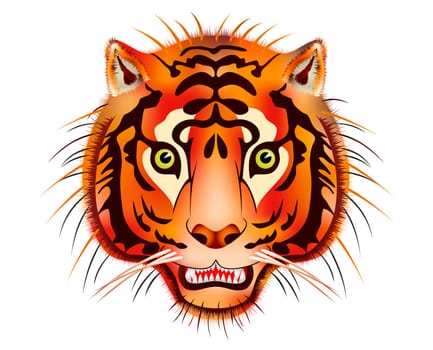 tiger head