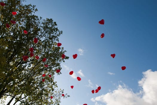 Heart Balloons