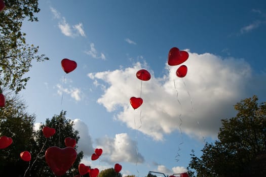 Heart Balloons
