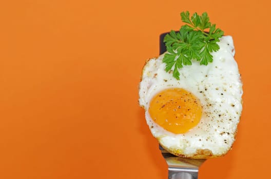Fried egg