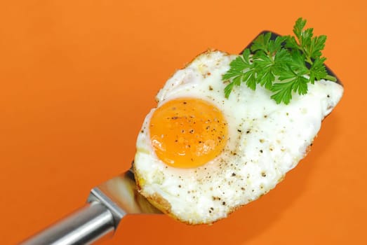 Fried egg