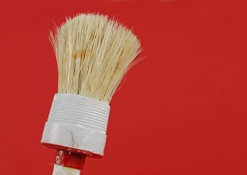 Brush