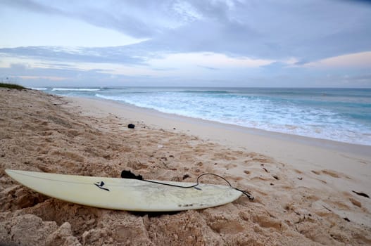 surfers beach