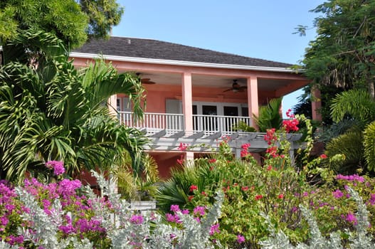 house with tropical garden