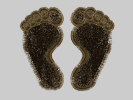 Abstract - Feet with Fur - Isolated - 3D