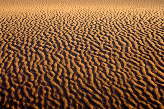 Sand Ribs on Desert Sand,Sahara Desert