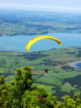 Hang gliders