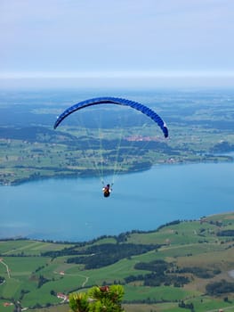 Hang gliders