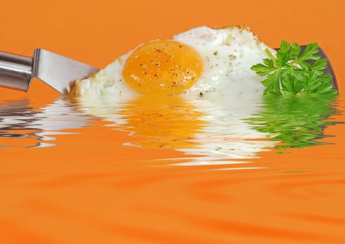 Fried egg