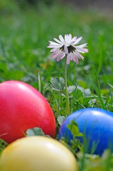 Easter egg
