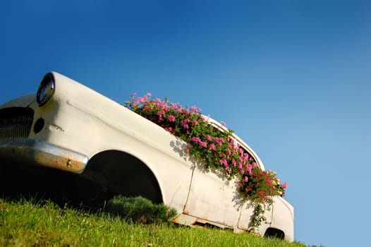 Flower Car