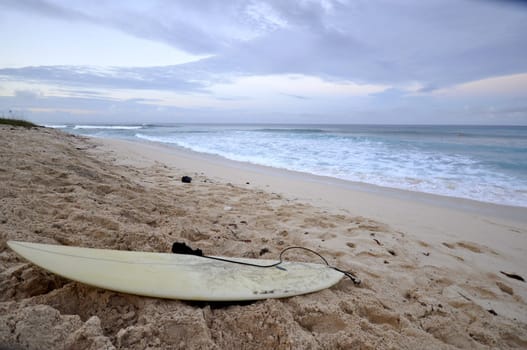surfers beach