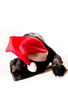 I wish you all a Merry Christmas and a Happy New Year.