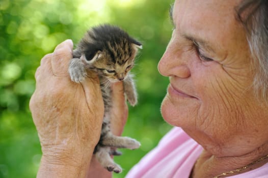 Senior woman holding little kitten